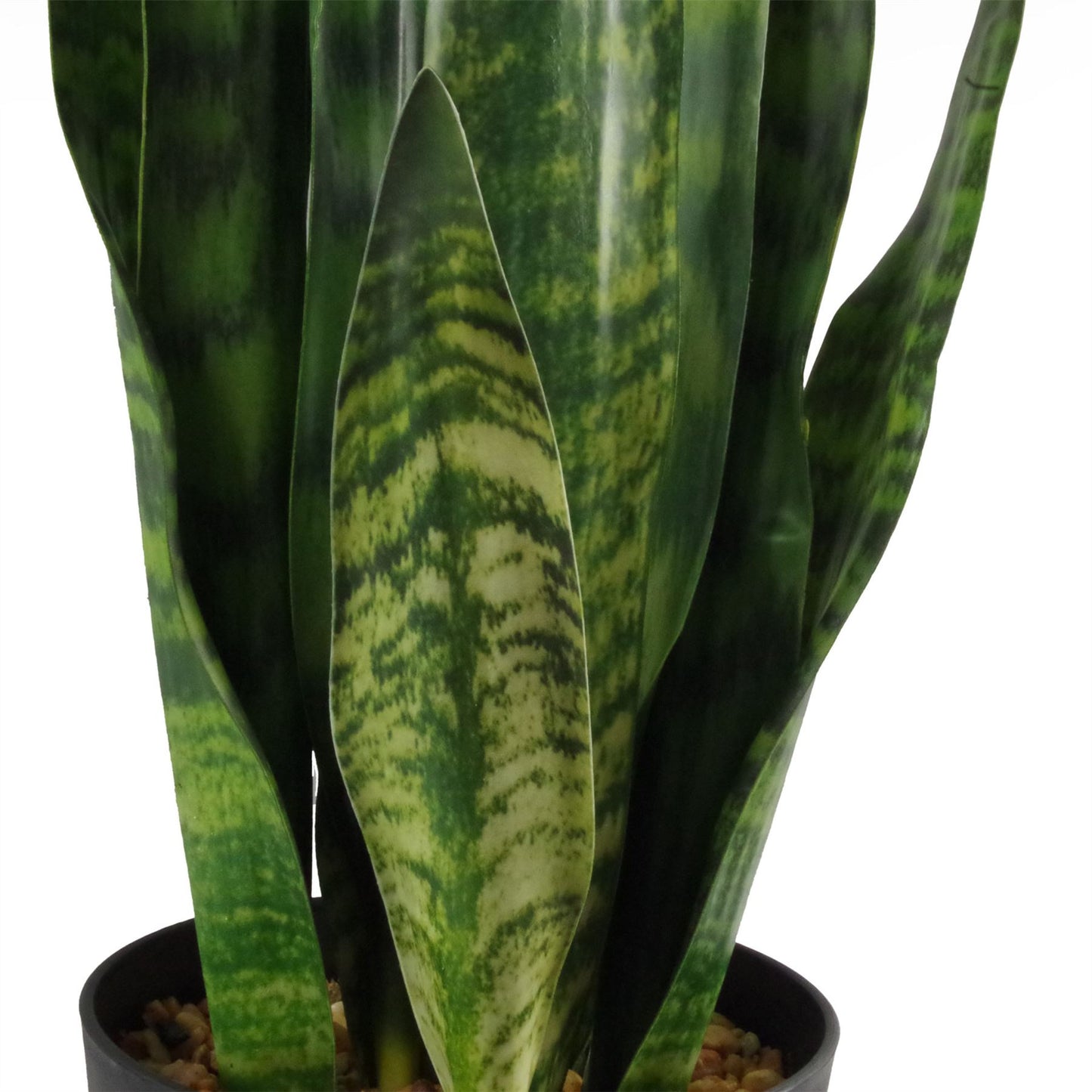 Artificial 70cm Sansevieria Zeylanica Plant – image 4