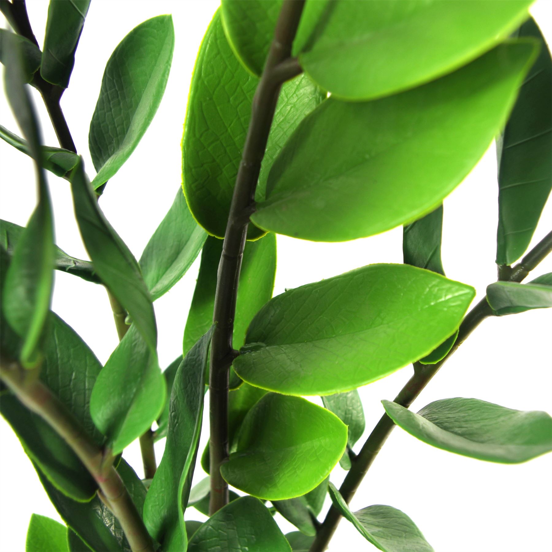 75cm Artificial Zanzibar Green Gem Zamioculcas Succulent Indoor Plant – image 3