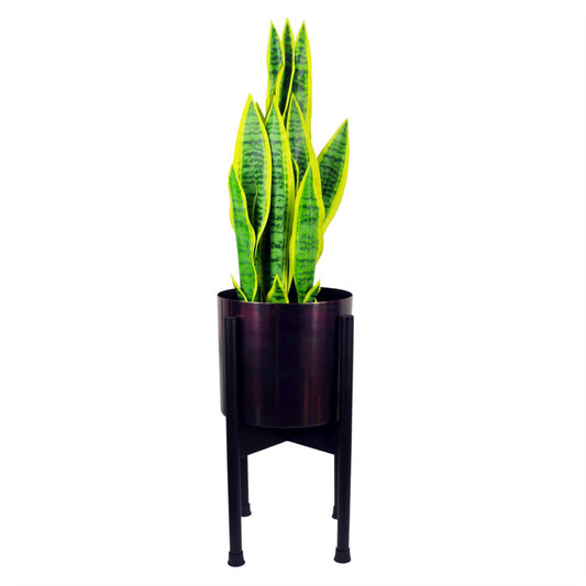 Medium Black Planter Stand 38.5cm x 18cm – image 2