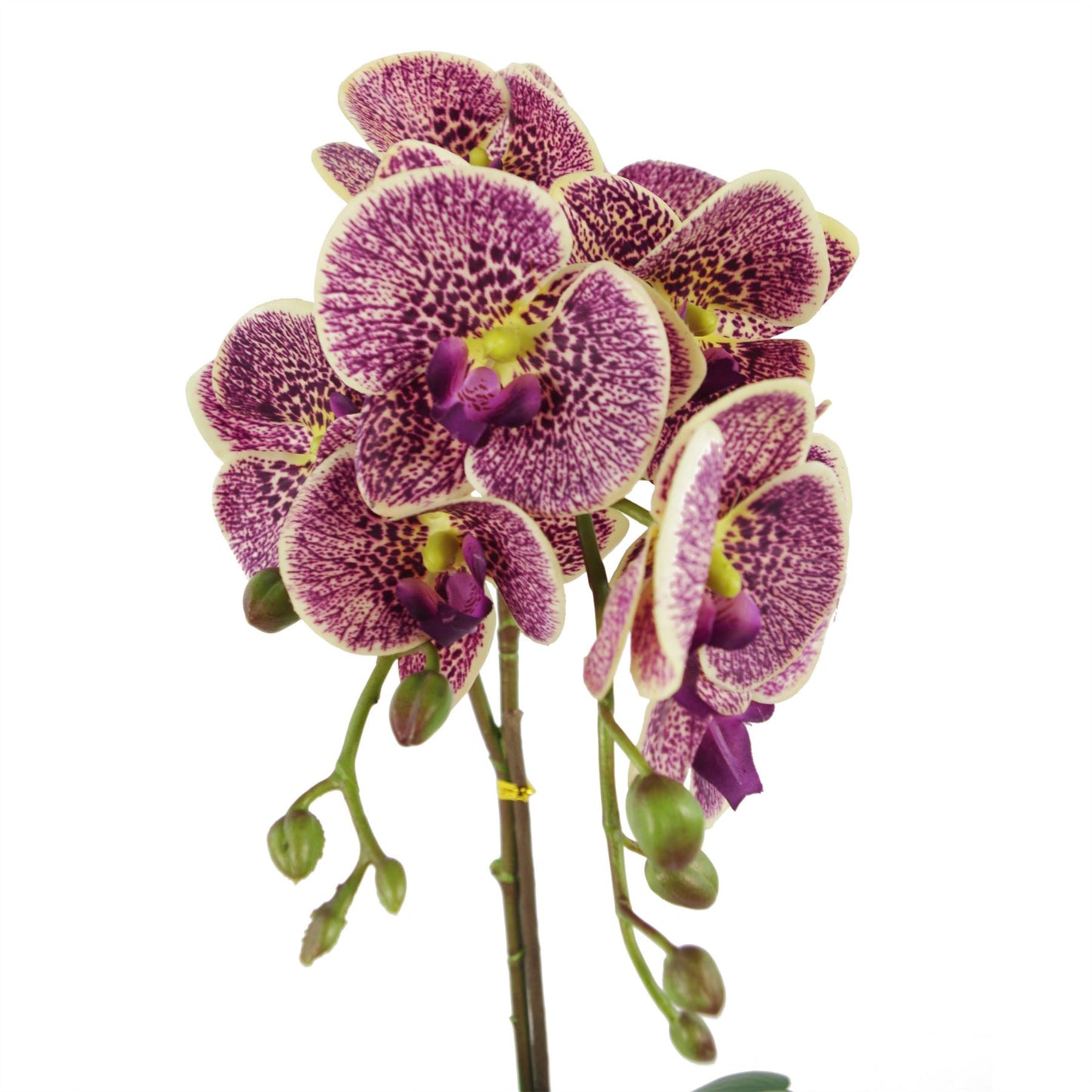 50cm Phalaenopsis Orchid Artificial Purple Leopard Gold Pot – image 2