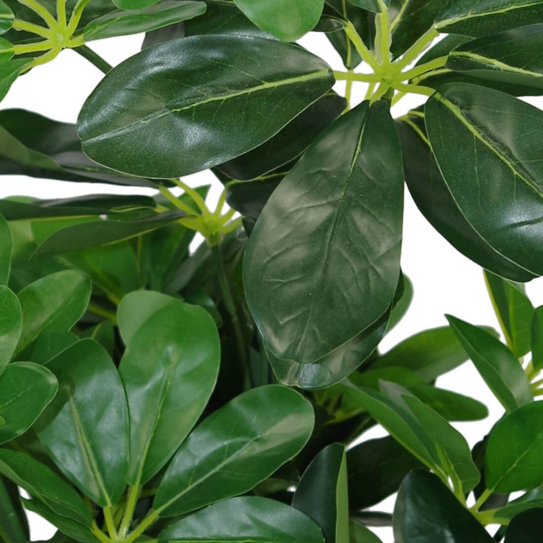 55cm Dark Green Artificial Schefflera Arboricola – image 3