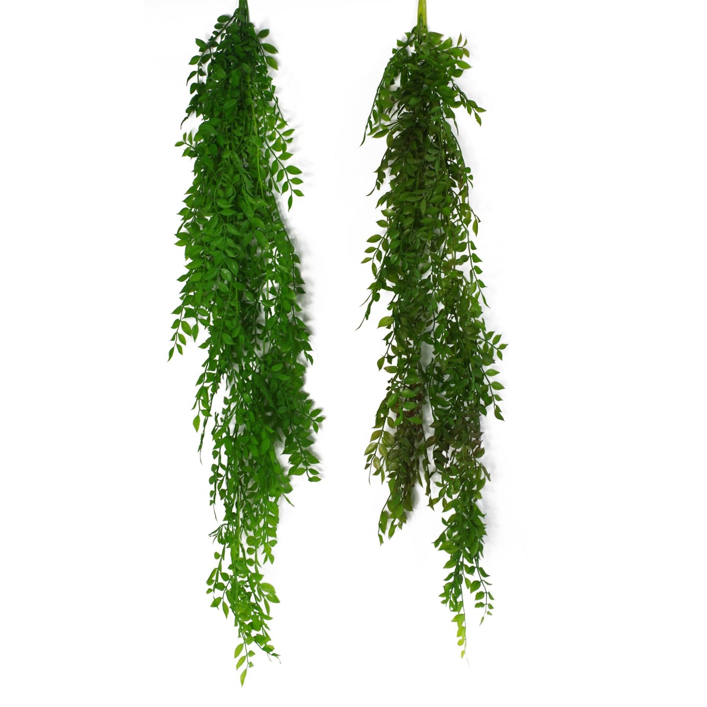 100cm Artificial Hanging String of Pearls Fern Plant Dark Green – image 4