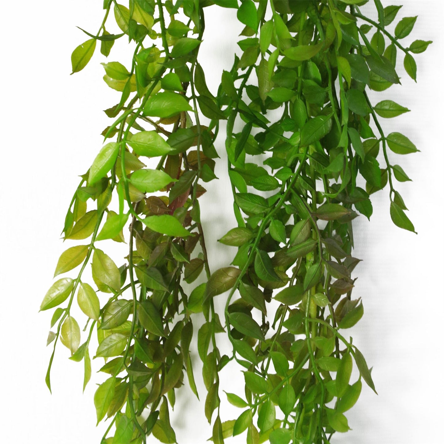 100cm Artificial Hanging String of Pearls Fern Plant Dark Green – image 2