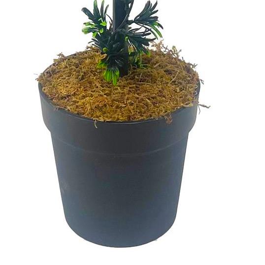 90cm Podocarpus Double Ball Topiary Tree Artificial – image 3