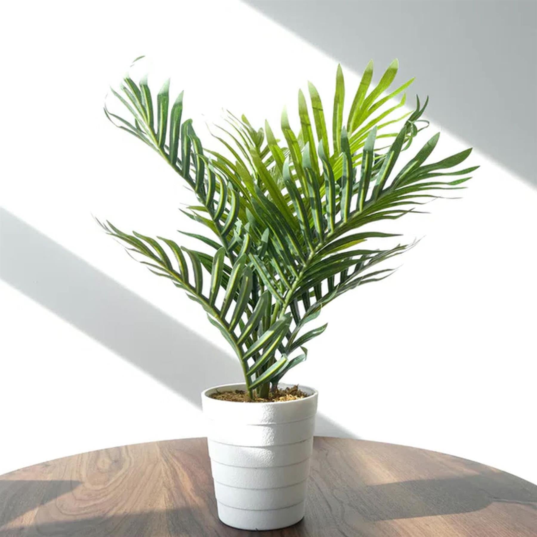 50cm Artificial Mini Palm Tree – image 4