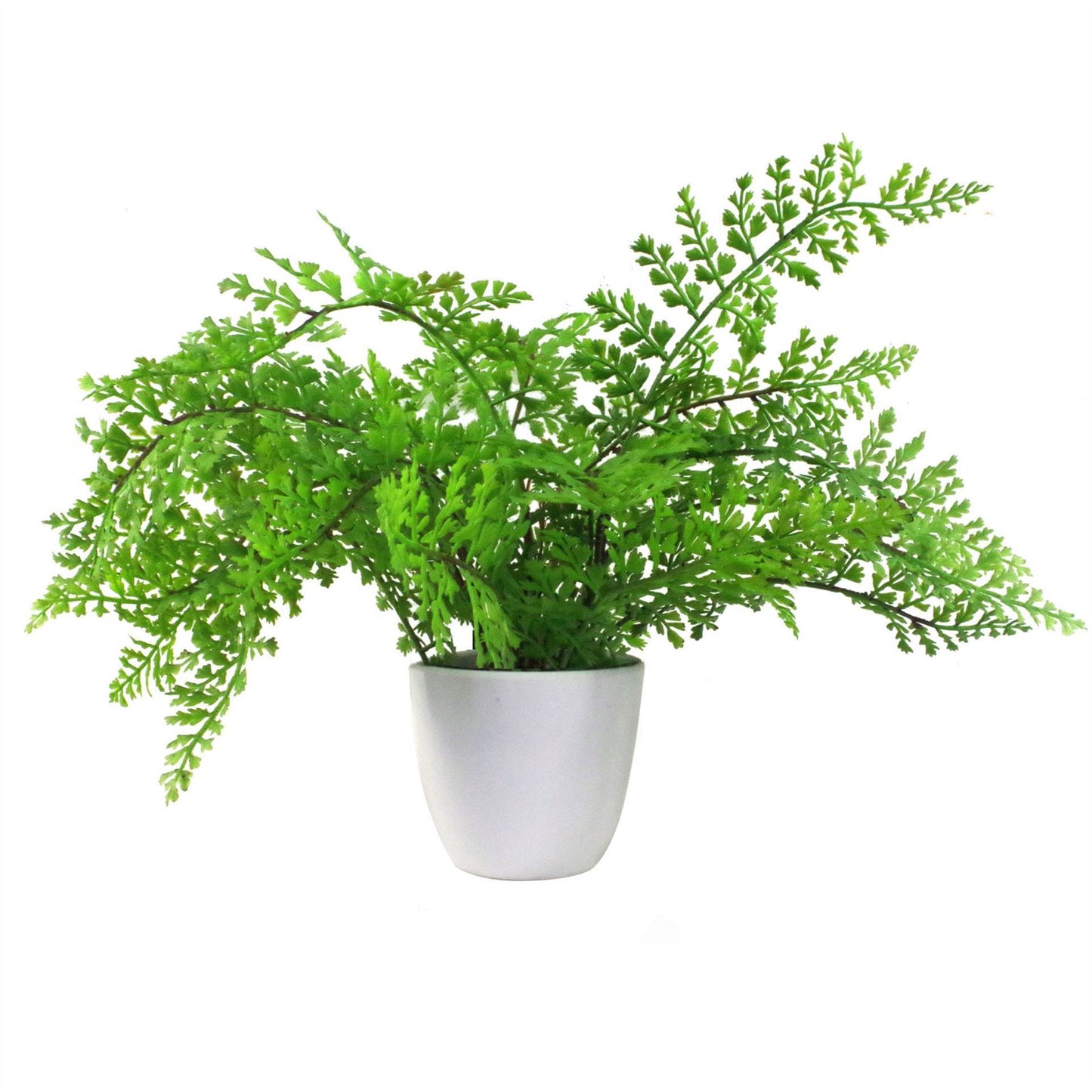 Pack of 3 x 30cm Artificial Ferns Southern Wood Lady and Royal Potted – image 7