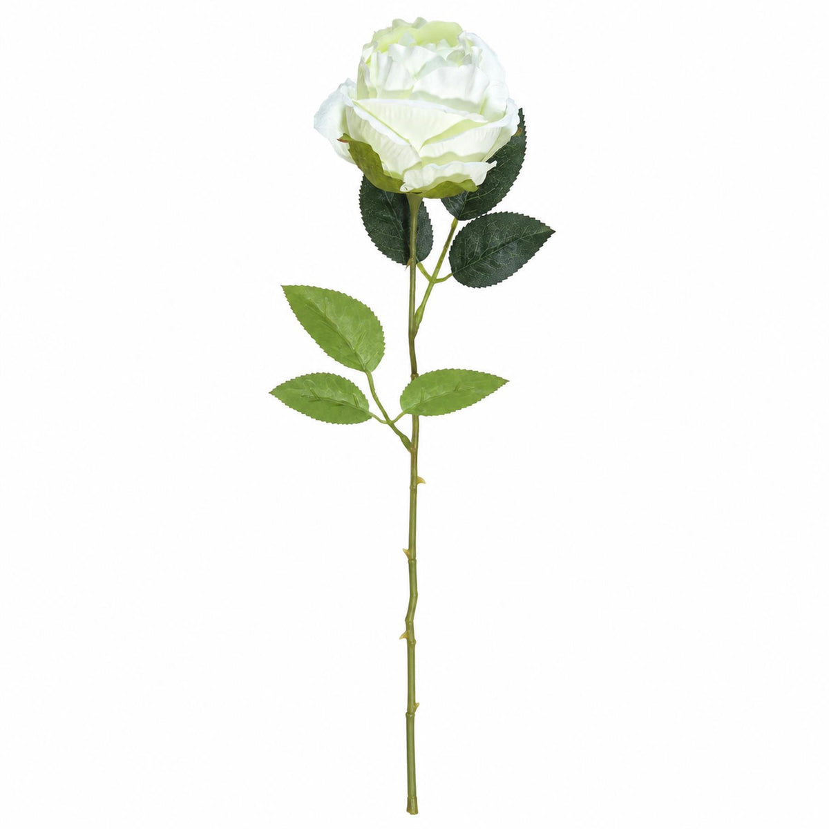 55cm Artificial White Rose Stem – image 2
