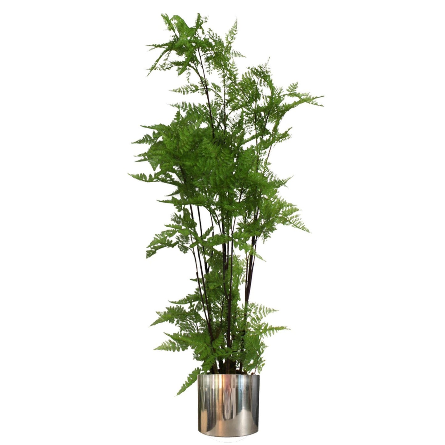Leaf Planter Plant Pot with Polished Silver Finish 20 x 18cm – image 6