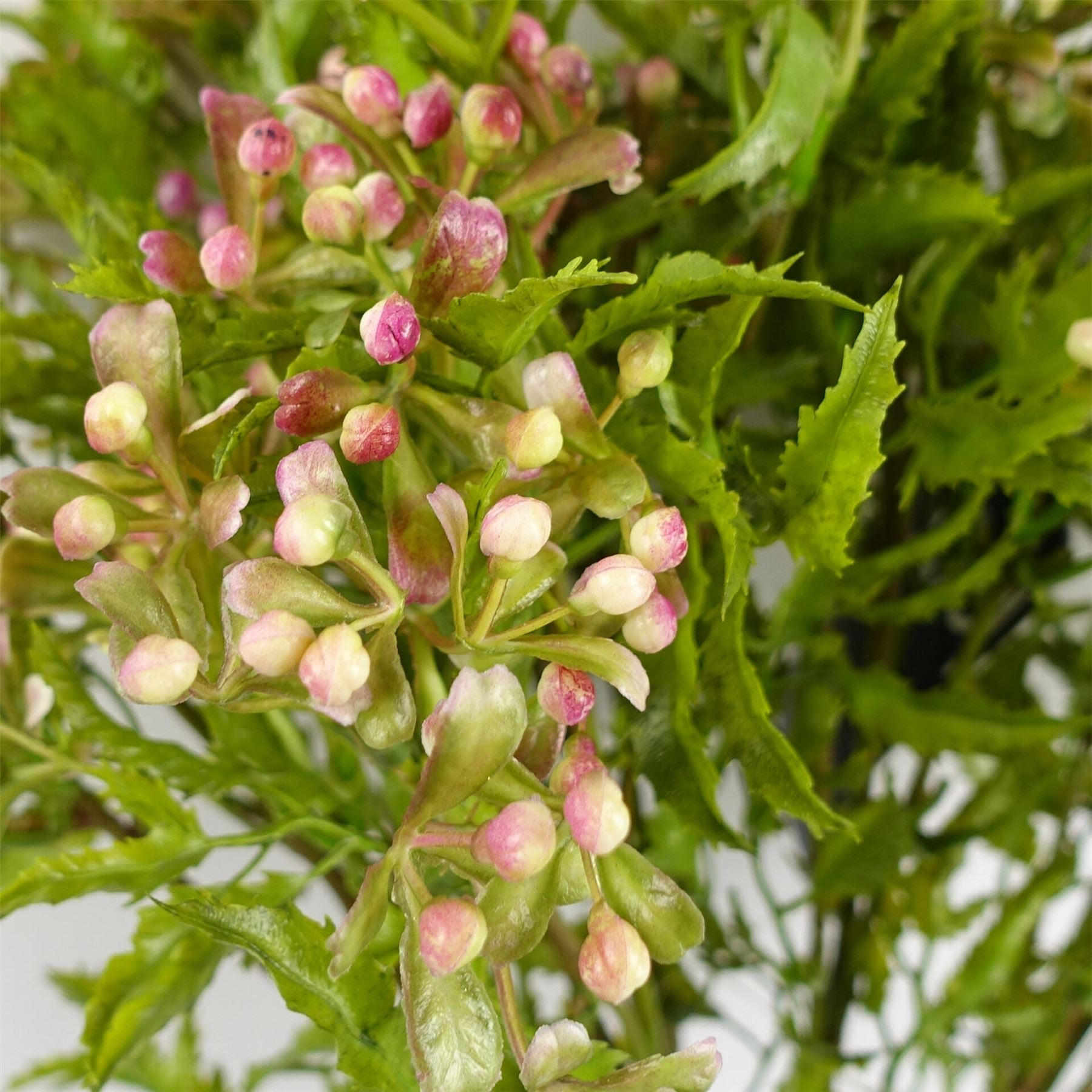 55cm Artificial Foliage Stem with Pink Berries – image 3