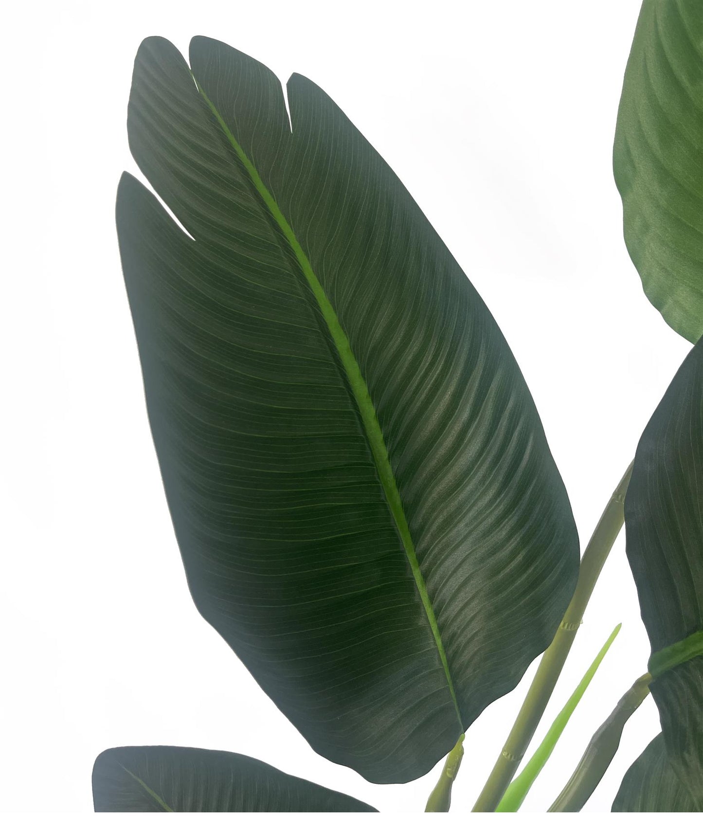 120cm Artificial UV Traveller Banana Palm Tree – image 3