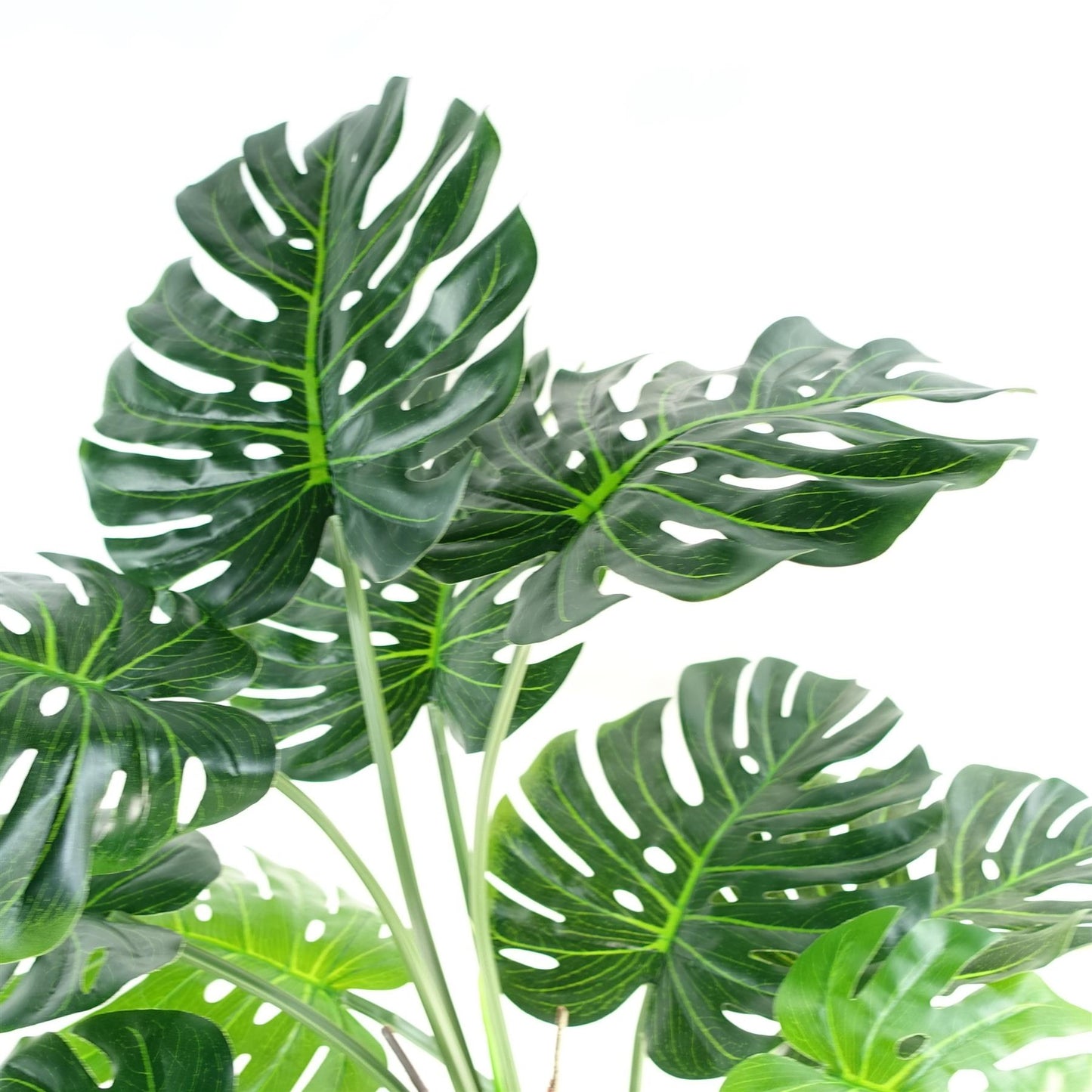 Luxury Monstera Plant Black Pot 150cm Artificial – image 6