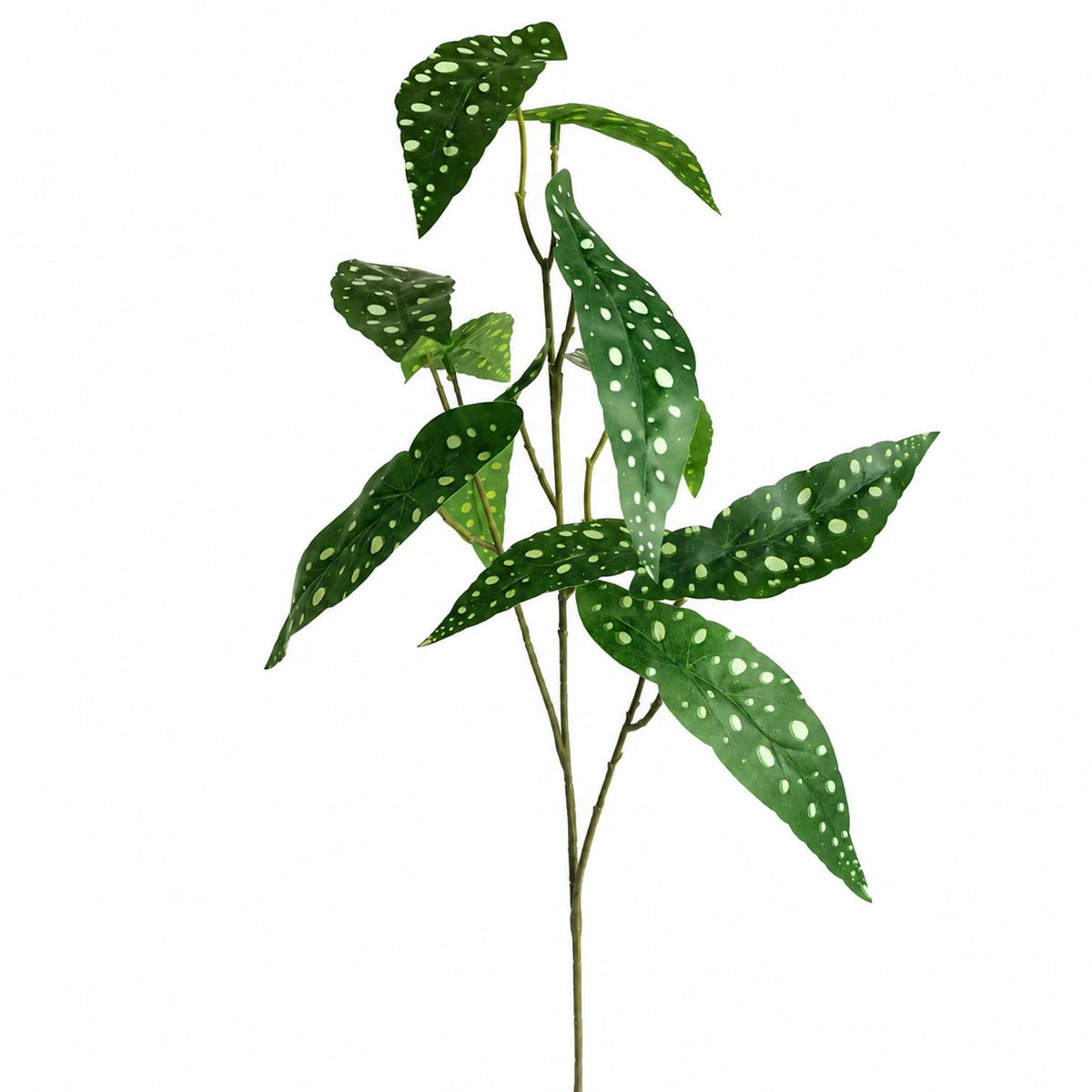 80cm Artificial Begonia Maculata Polka Dot Foliage Stem