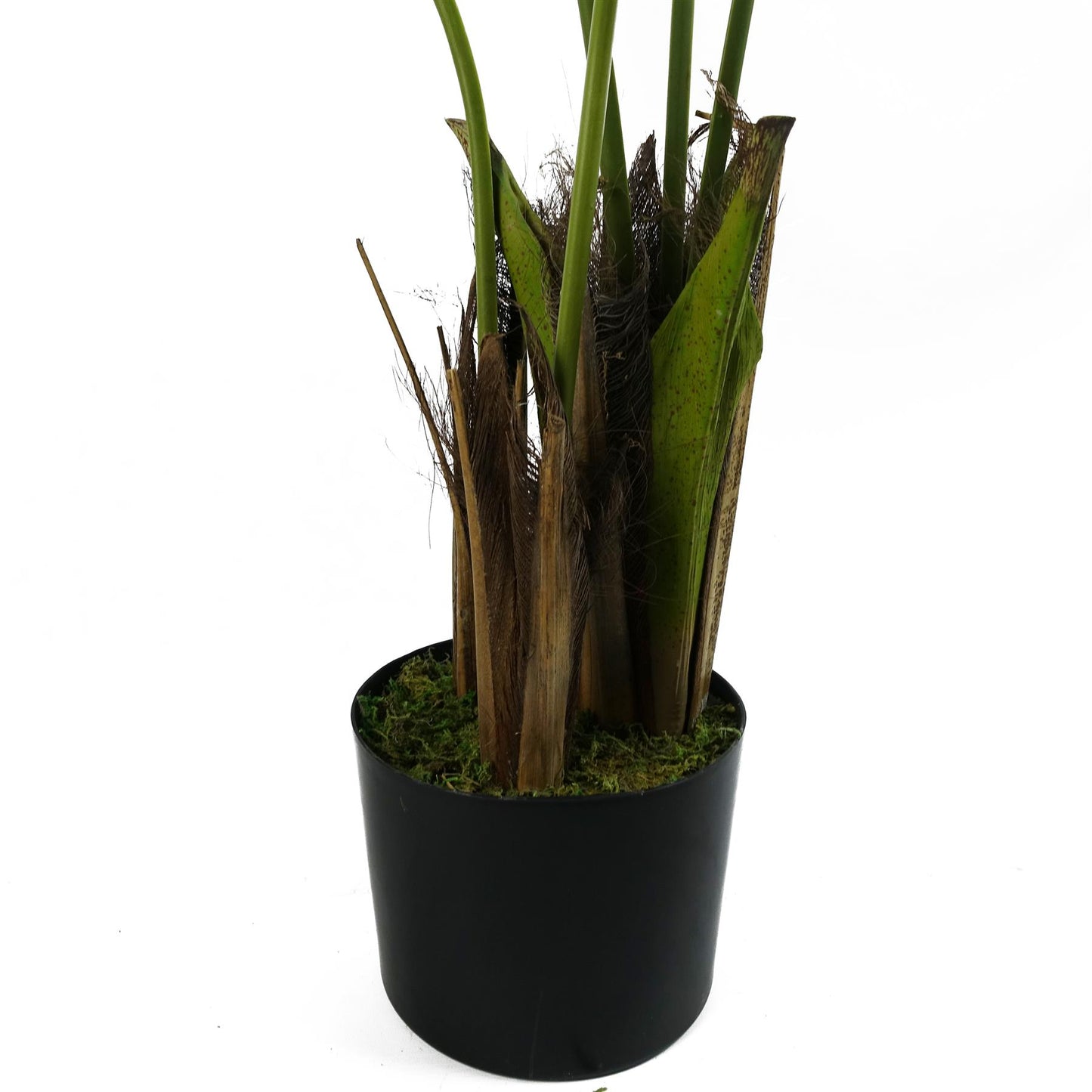 Artificial 120cm Kentia Palm Tree – image 7