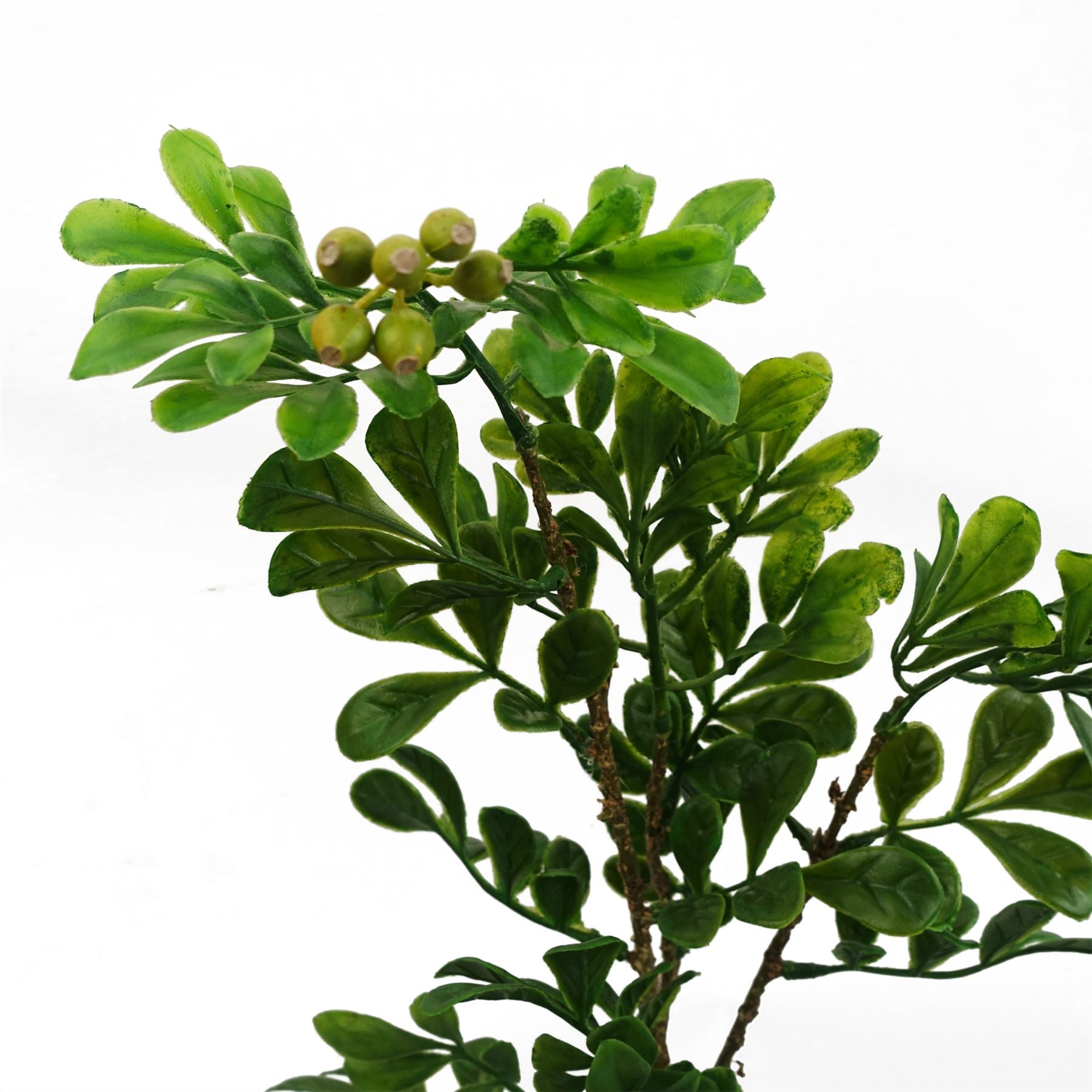 45cm Artificial Aglaia Odorata Bonsai Ficus Tree – image 3