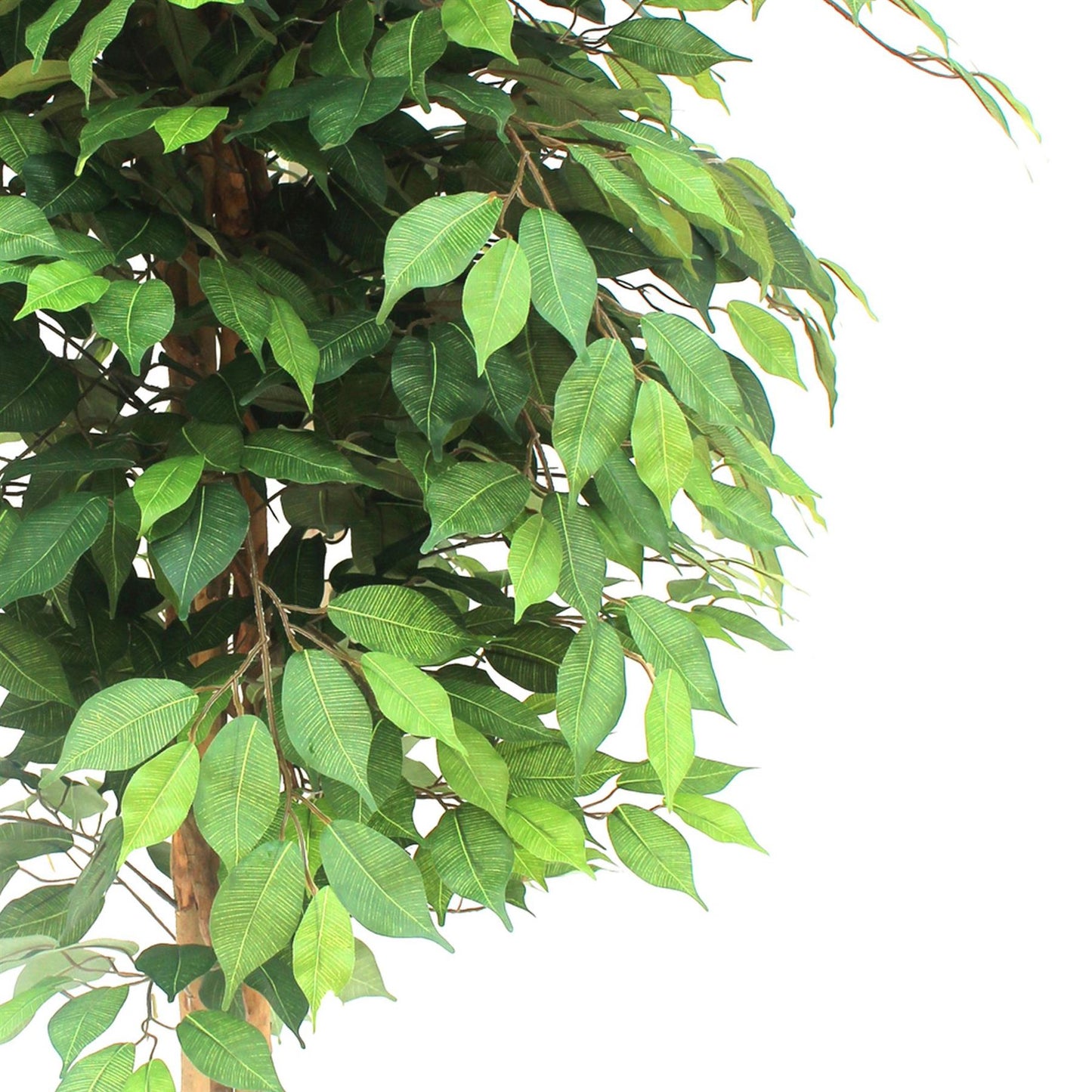 150cm Artificial Ficus Tree – image 3