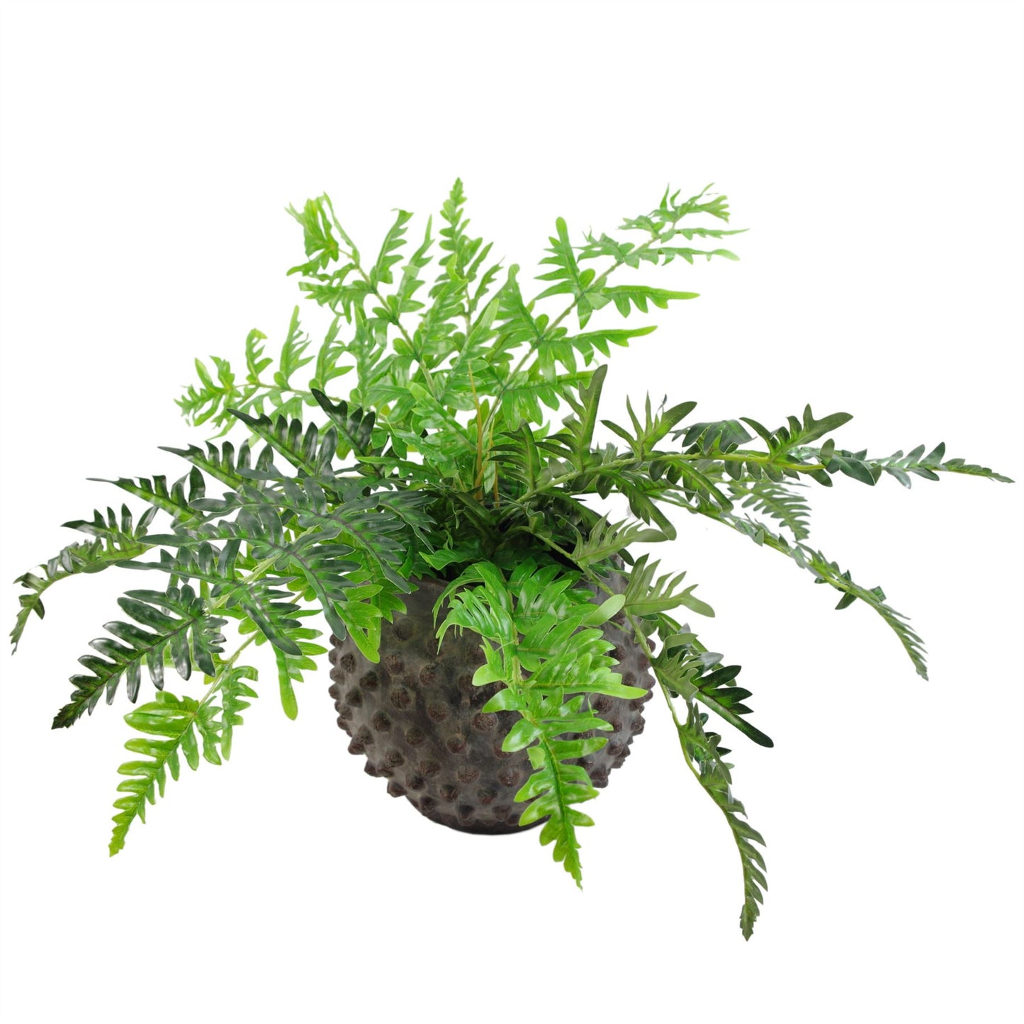 50cm Luxury Artificial Evergreen Fronded Fern Plant – image 3
