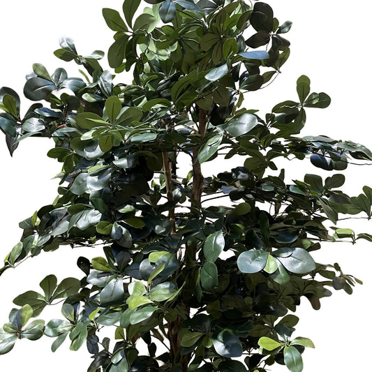 180cm Artificial Fire Retardant Black Olive Tree and Natural Trunk – image 2
