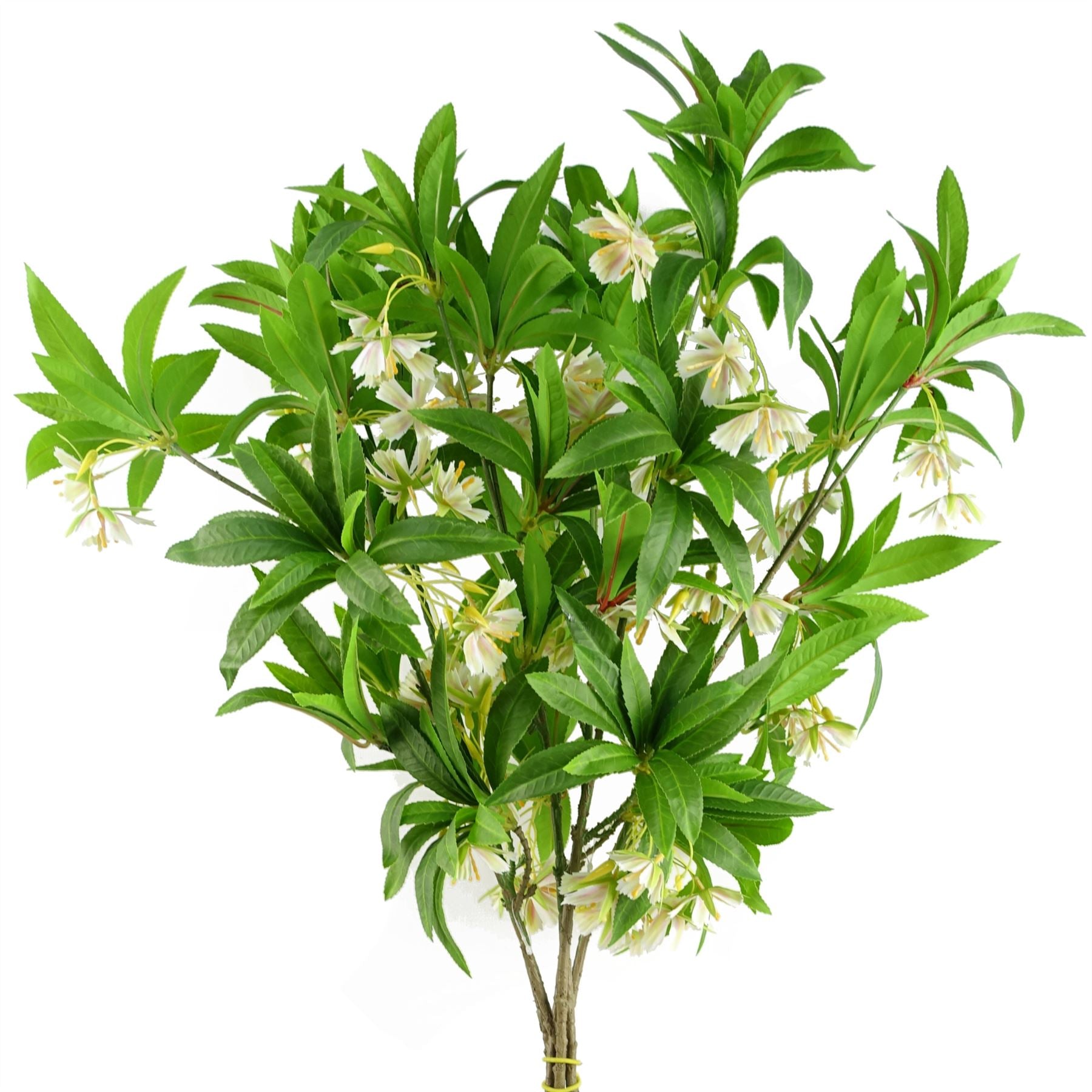 90cm Artificial Hainan Elaeocarpus Stem – image 4