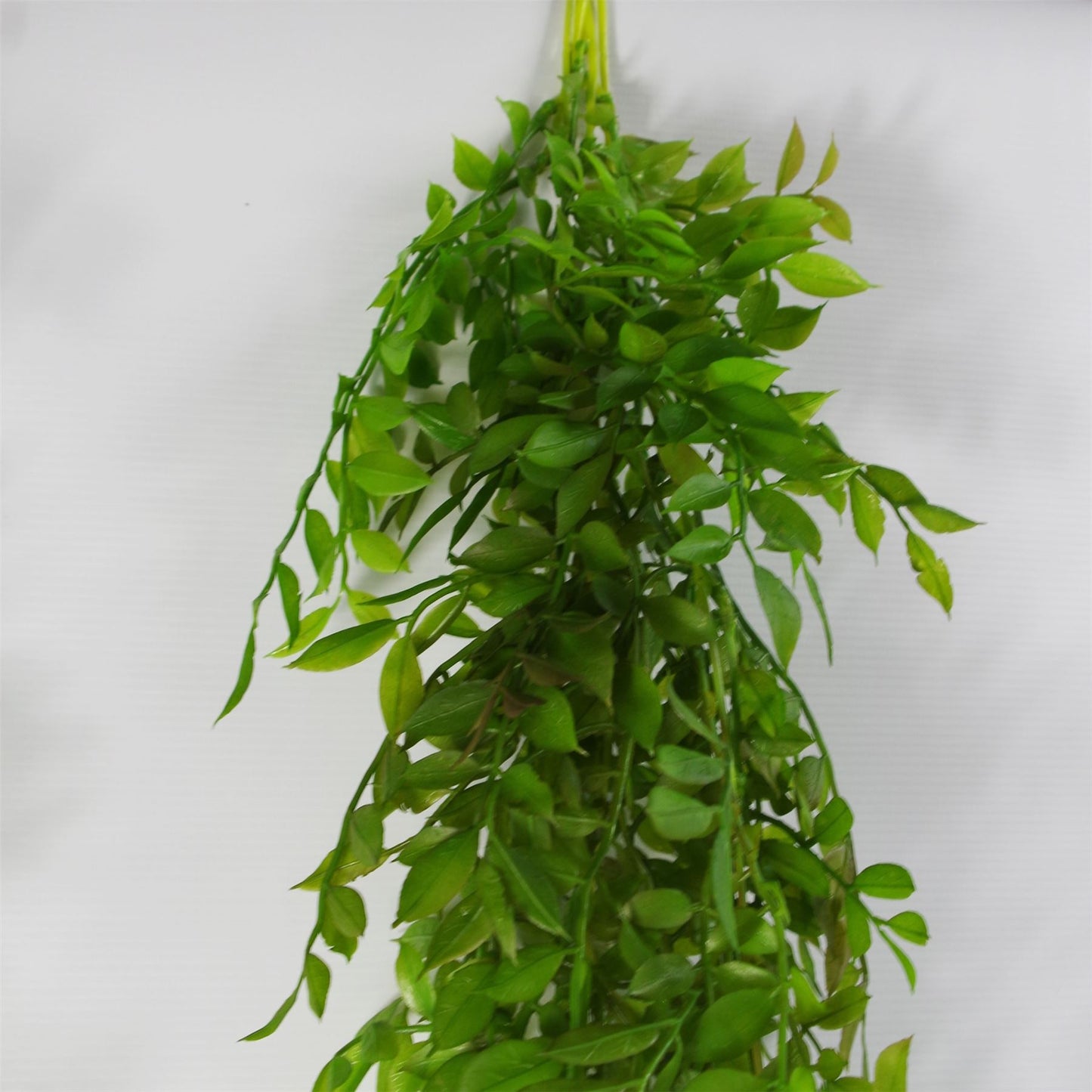100cm Artificial Hanging String of Pearls Fern Plant Dark Green – image 5