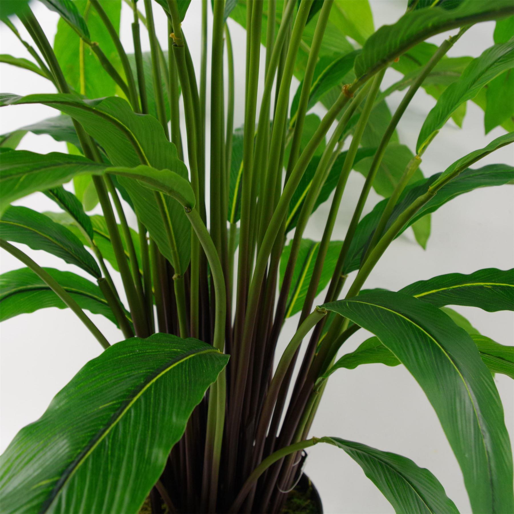 90cm Artificial Calathea Plant Dark Green – image 5