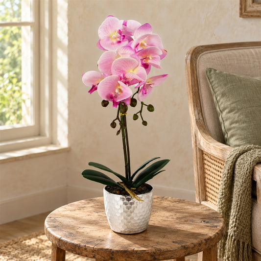 Artificial 50cm Phalaenopsis Orchid Light Pink Silver