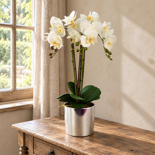 52cm Artificial Orchid Large -White Silver