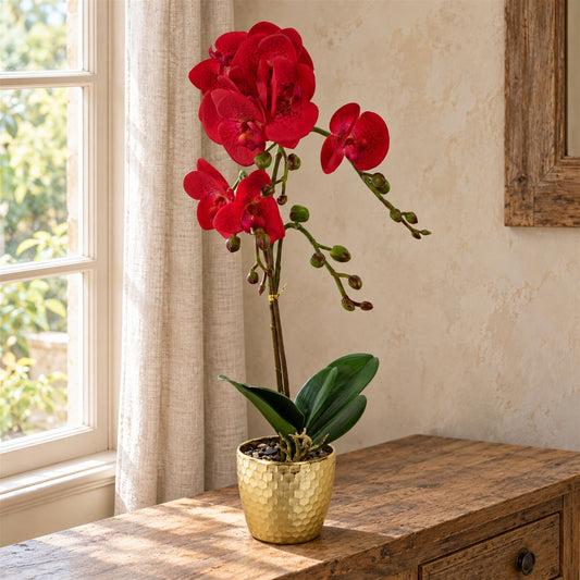 50cm Phalaenopsis Orchid Artificial Red Leopard Gold Pot