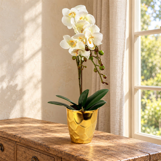 54cm Artificial Orchid Plant White with Gold Pot