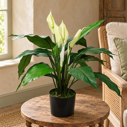 Artificial White Spathiphyllum Peace Lily