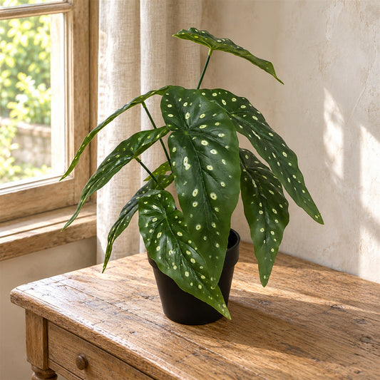 Artificial Begonia Plant 35cm