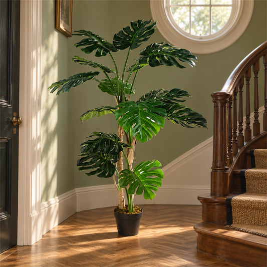 Luxury Monstera Plant Black Pot 150cm Artificial