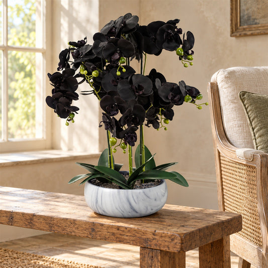 60cm Orchid Artificial Black White Ceramic Planter