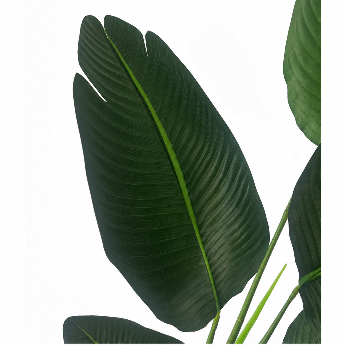 120cm Artificial UV Traveller Banana Palm Tree – image 2