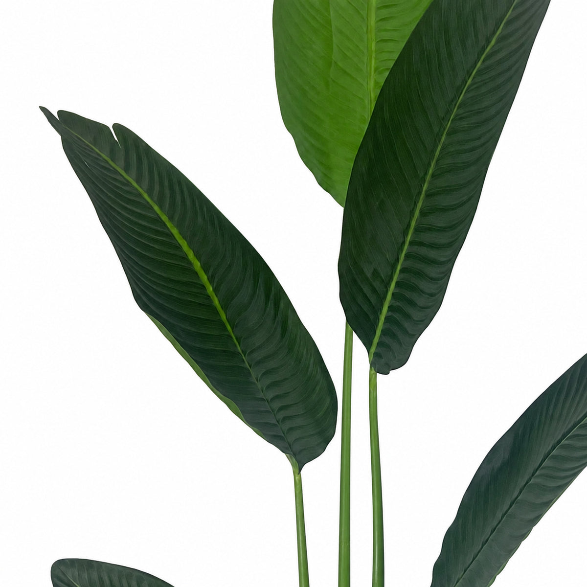 120cm Artificial UV Traveller Banana Palm Tree – image 5