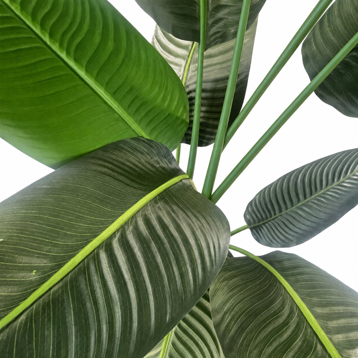 150cm Artificial UV Traveller Banana Palm Tree – image 4