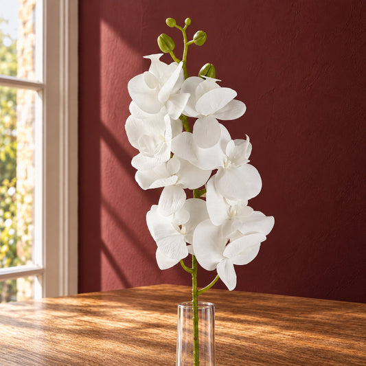 100cm Artificial Phalaenopsis Orchid White Stem