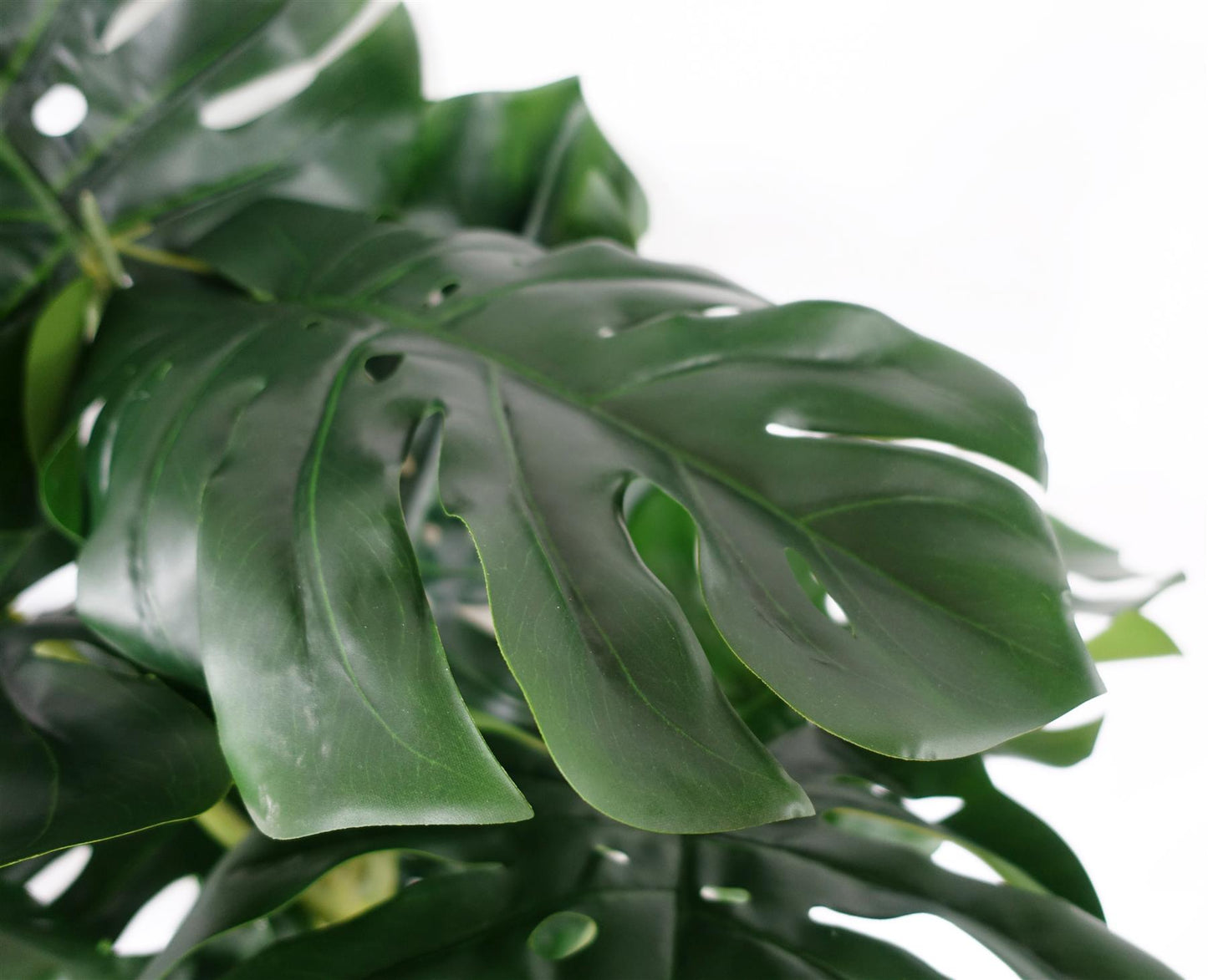 150cm Premium Artificial Monstera Plant – image 5