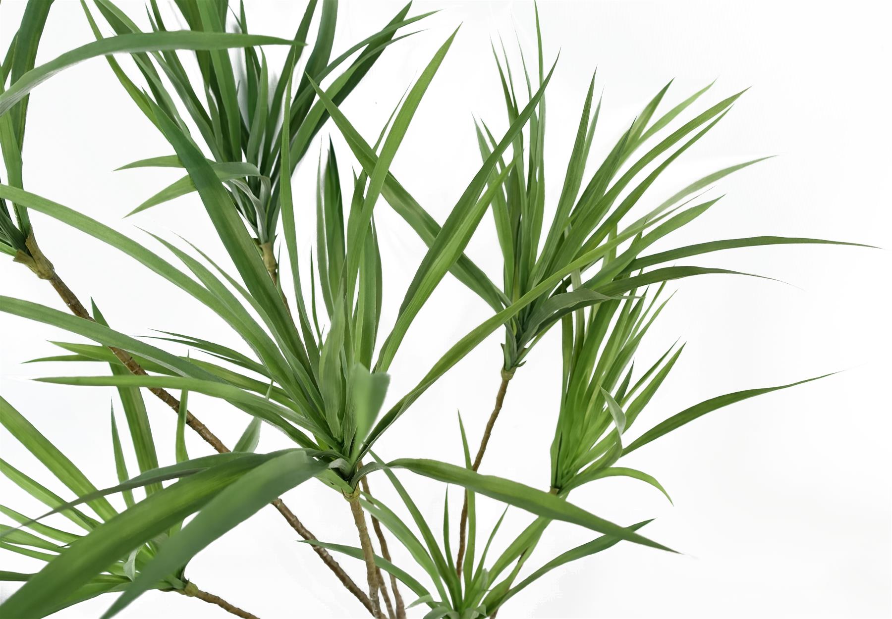 125cm Dragon Tree Dracaena Plant Natural Look Artificial – image 3