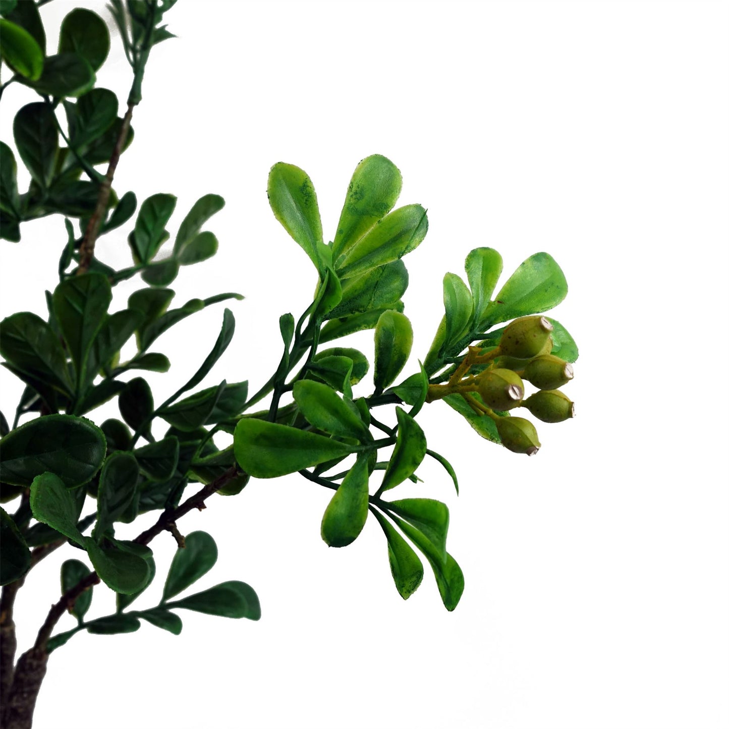60cm Artificial Aglaia Odorata Bonsai Ficus Tree – image 5