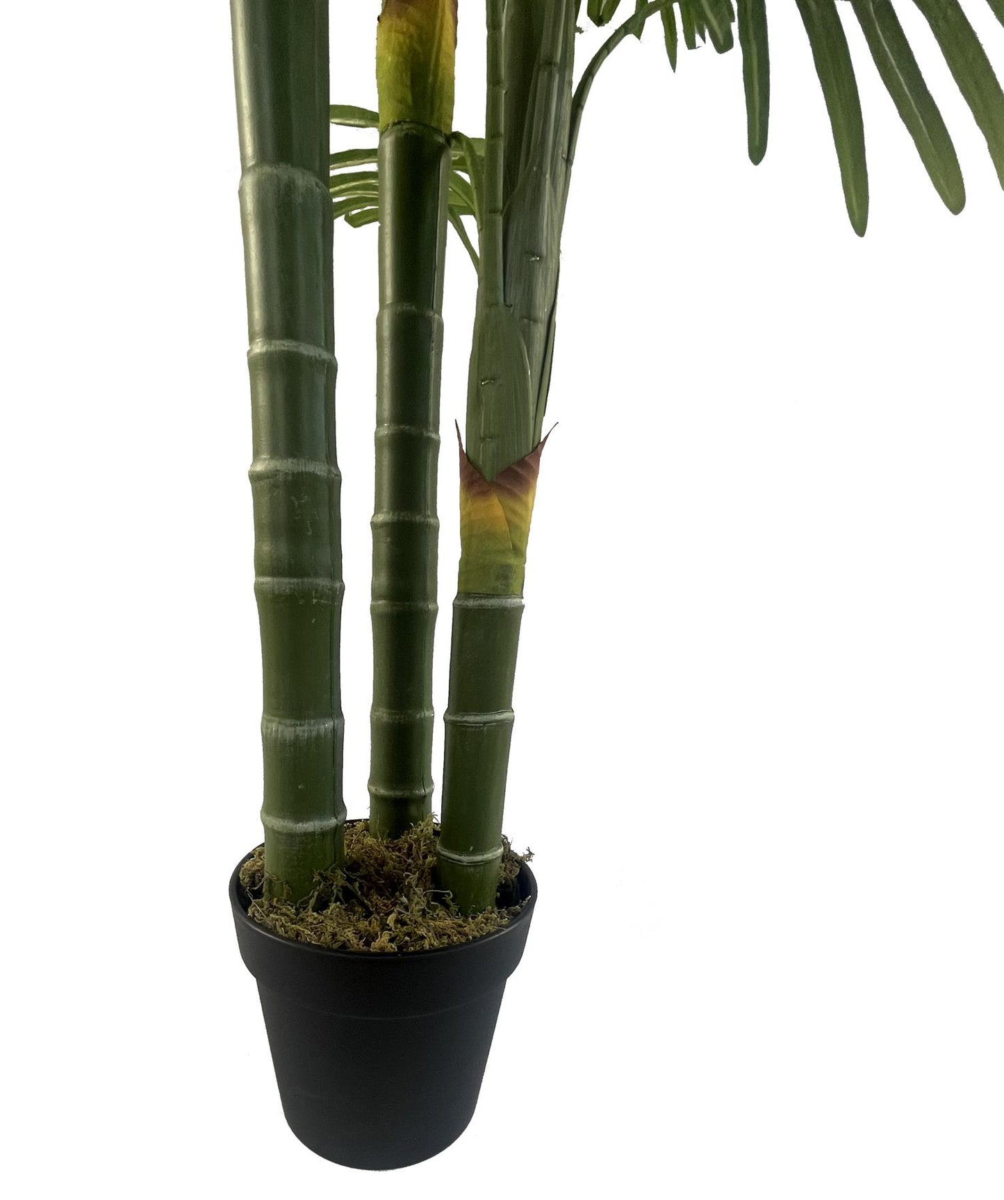 180cm Artificial Tropical Palm Tree – image 6