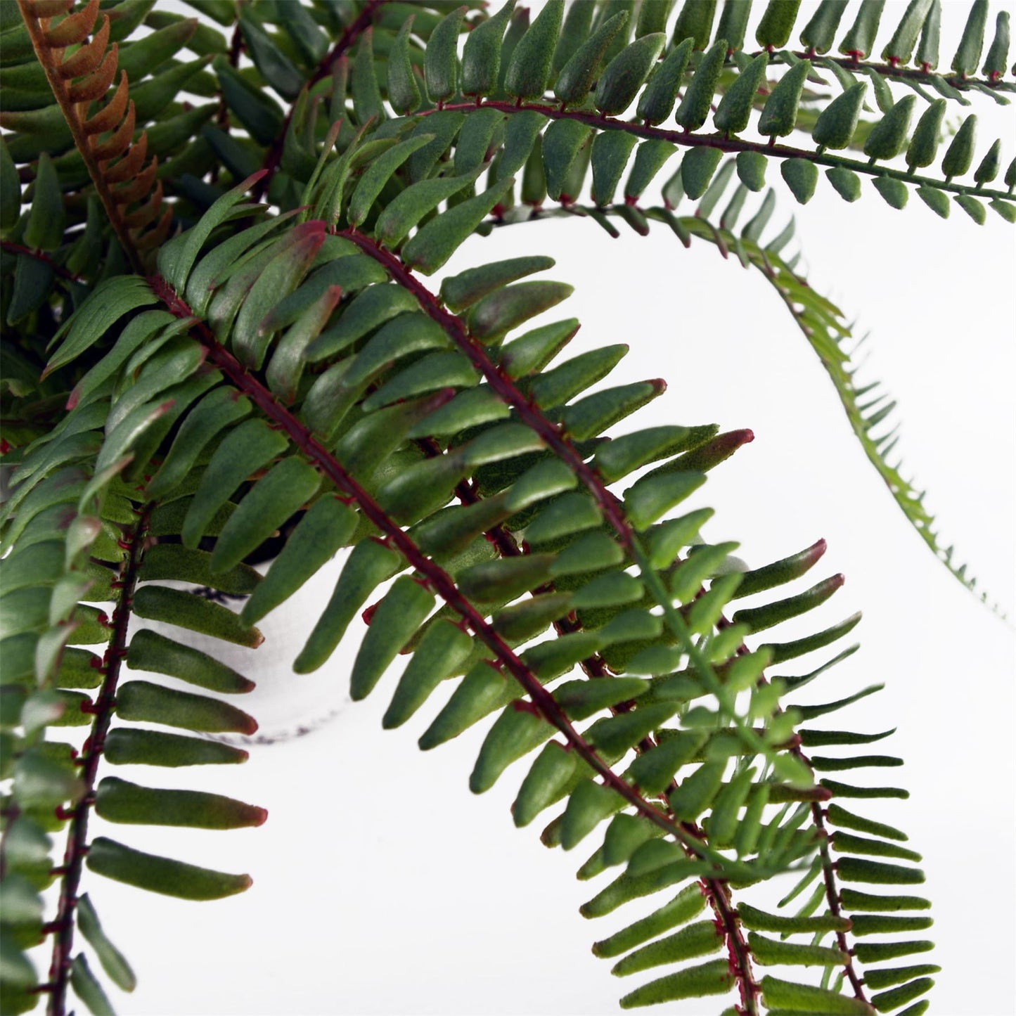 40cm Artificial Fern Bush in Decorative Planter – image 8