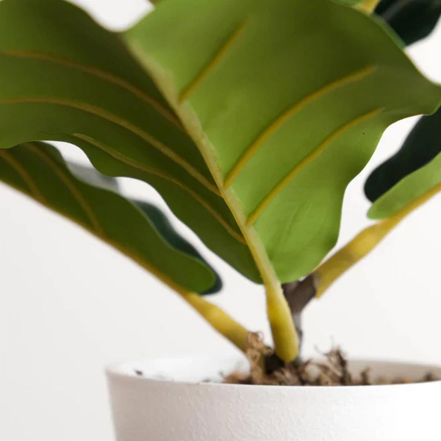 38cm Potted Artificial Fiddle Fig Plant – image 5