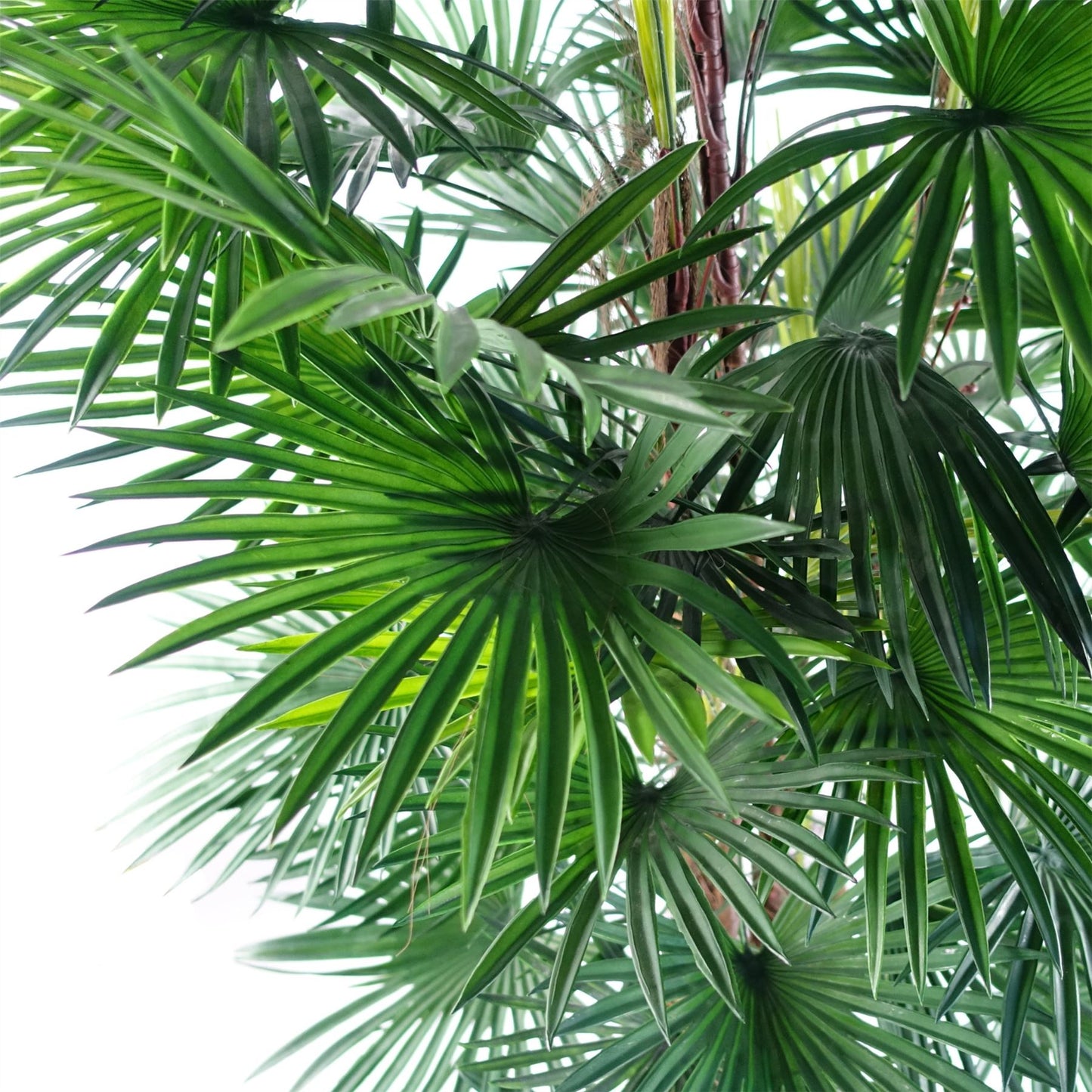 Artificial 120cm Fan Palm Tree – image 2