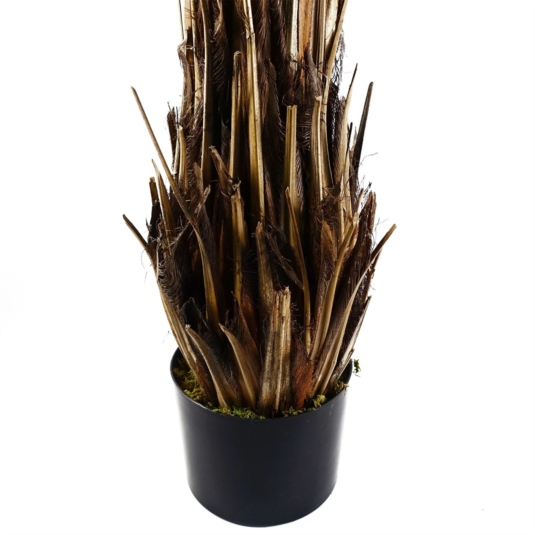 Cycas Palm Tree UV Resistant Outdoor 120cm Artificial – image 5