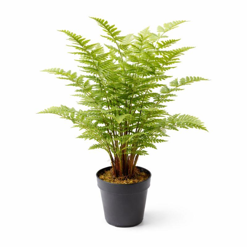75cm Artificial Fern Plant – image 2