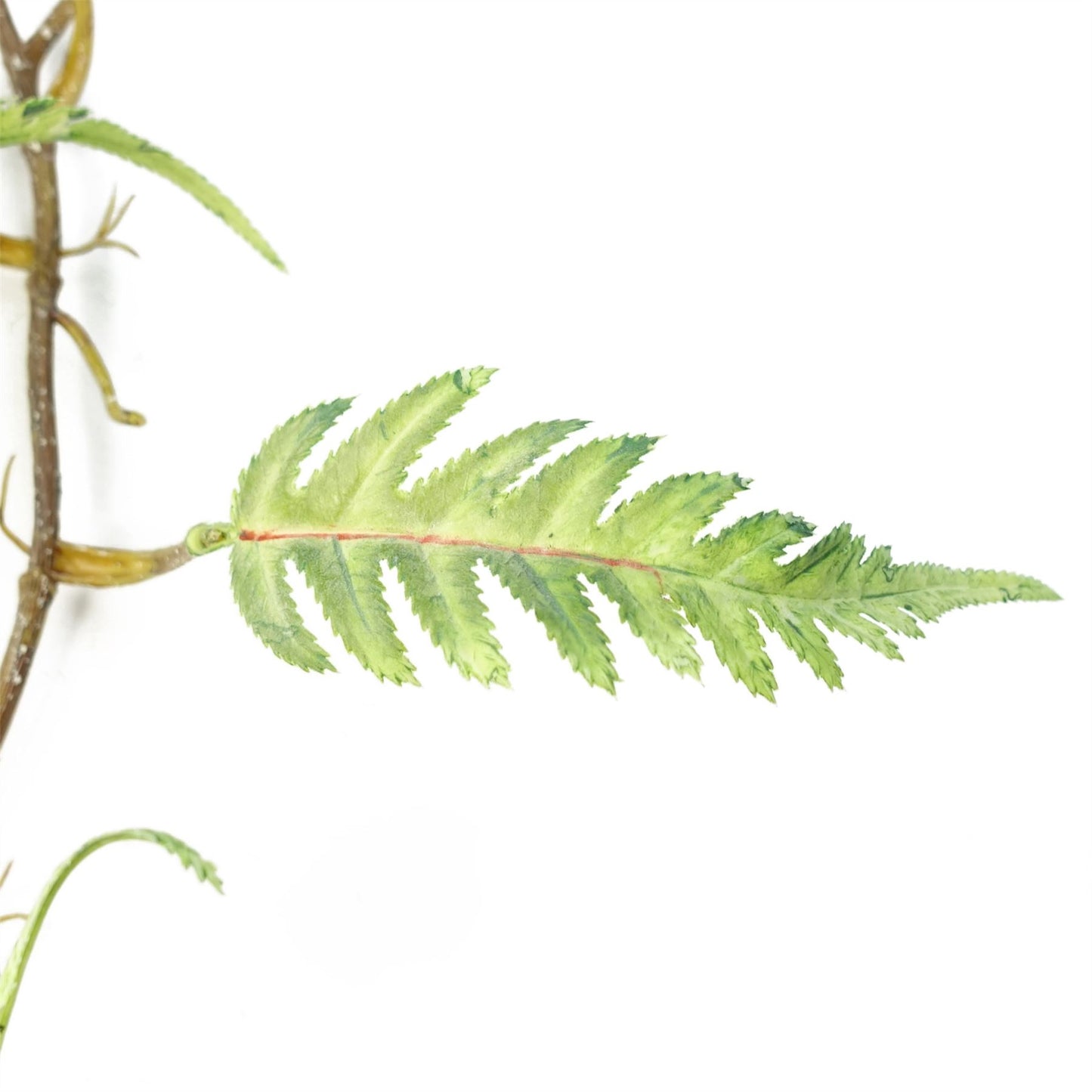 125cm Artificial Hanging Trailing Fern Plant – image 3