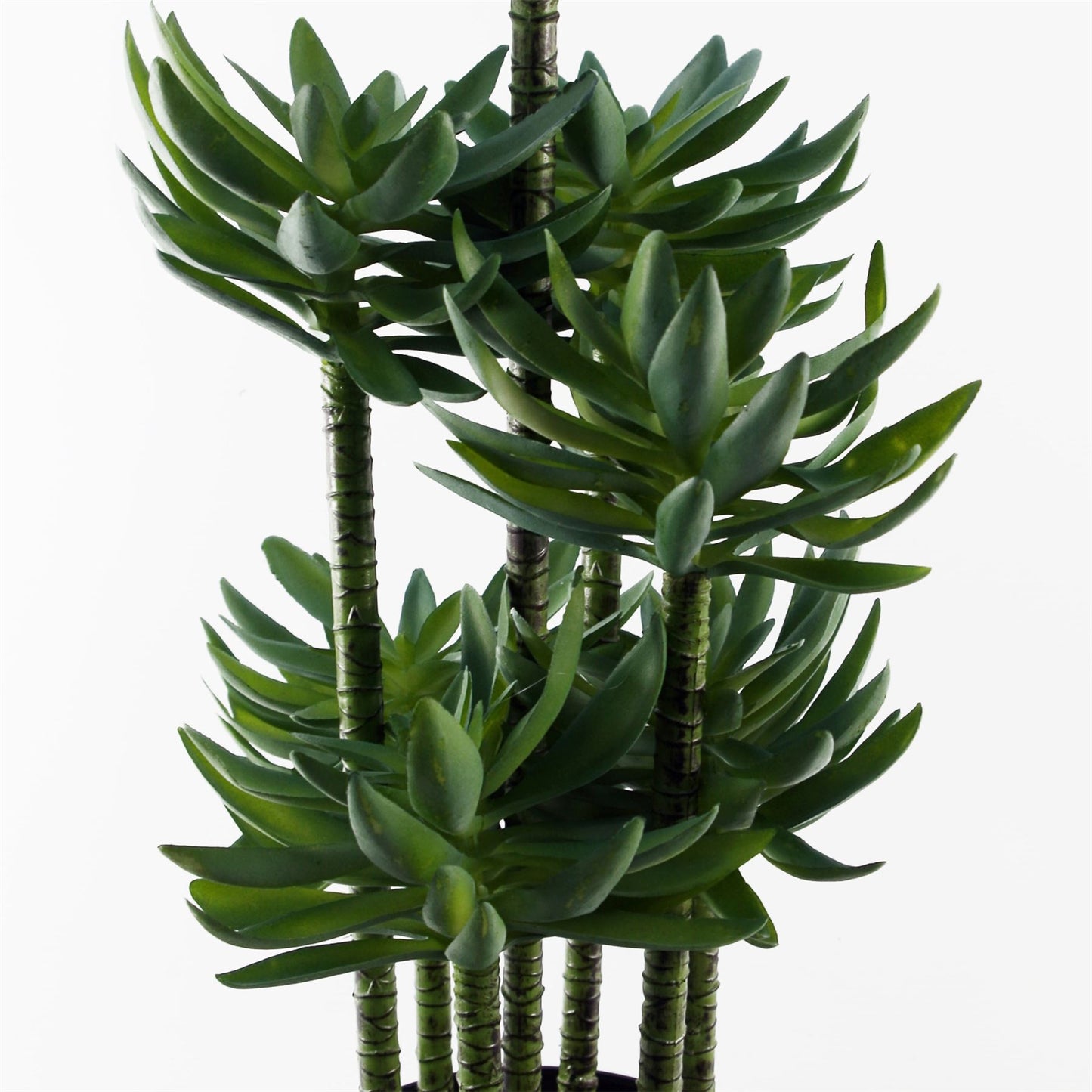 60cm Artificial Tropical Yukka in Planter – image 5