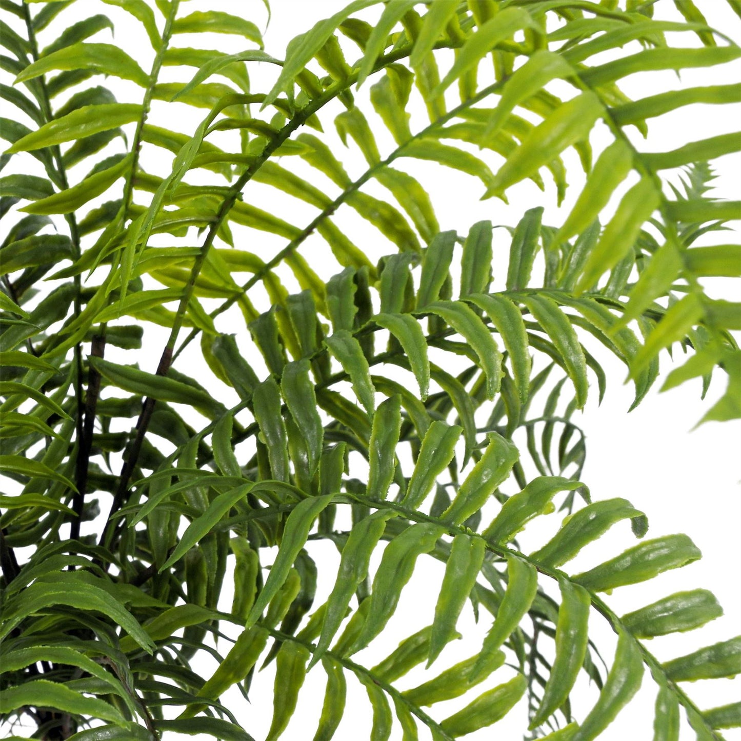 50cm Artificial Boston Fronded Fern Plant – image 5