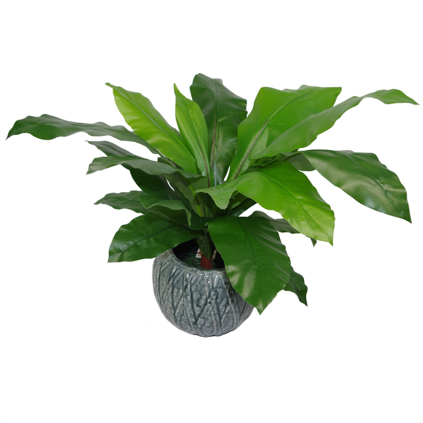 60cm Bushy Large Bird's Nest Fern Plant Artificial – image 3