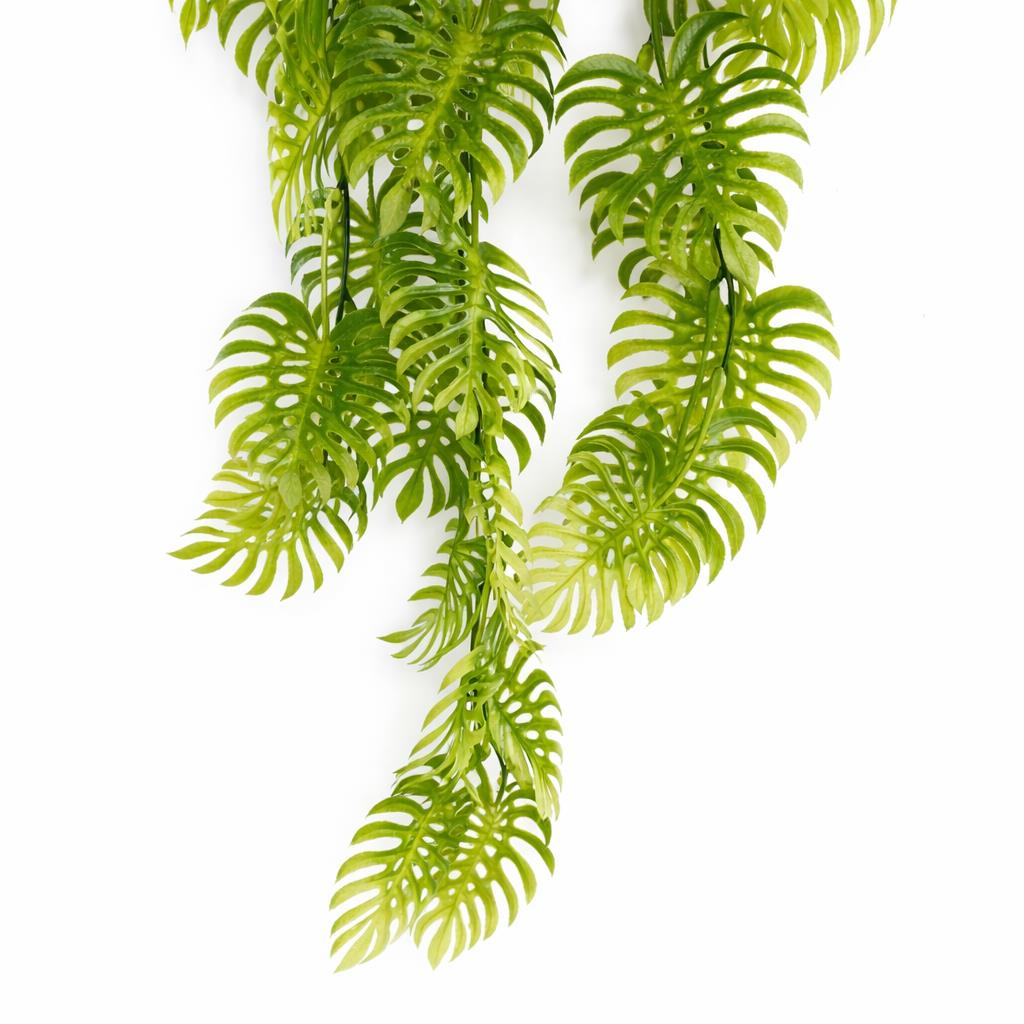 80cm Artificial Trailing Tropical Monstera Plant Light Green – image 2